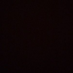 Meet your Posher, Jadyn